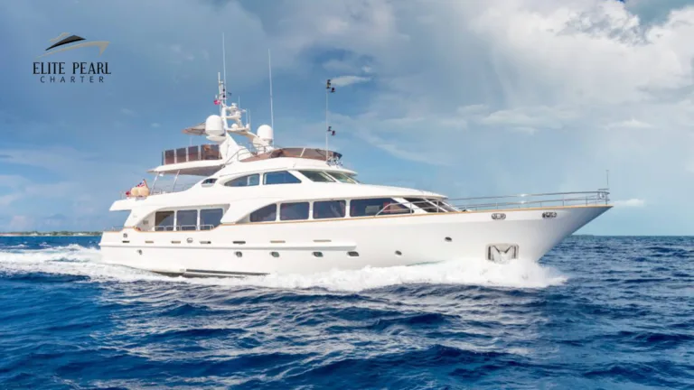 elite pearl charter - Elite VIP 110 Ft Benneti. Diving and snorkeling expeditions in Dubai blog image