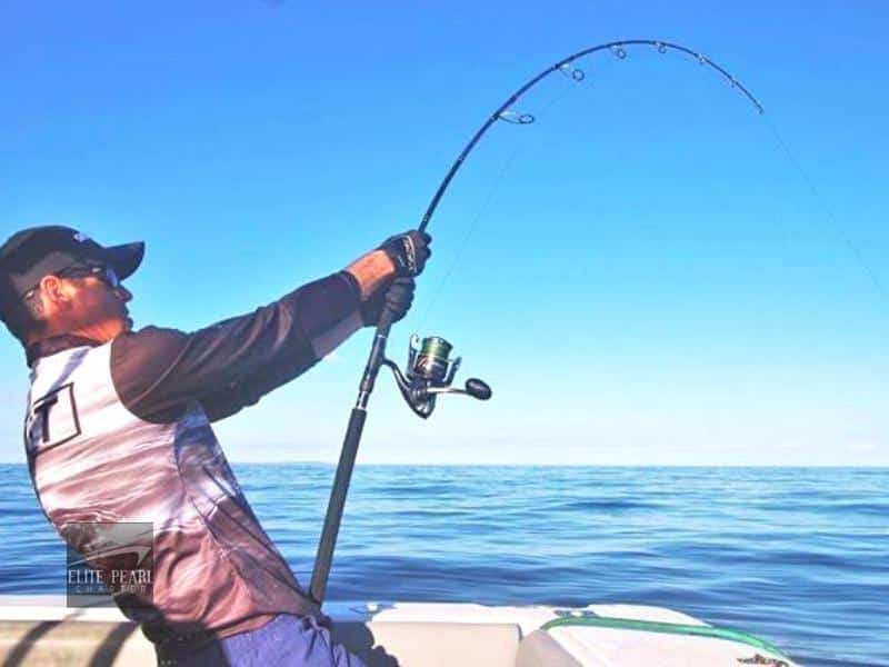 Fishing Trips Dubai-Elite Pearl Charter