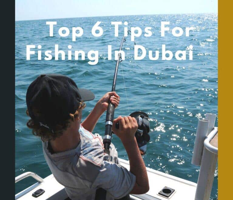 Fishing Trips Dubai