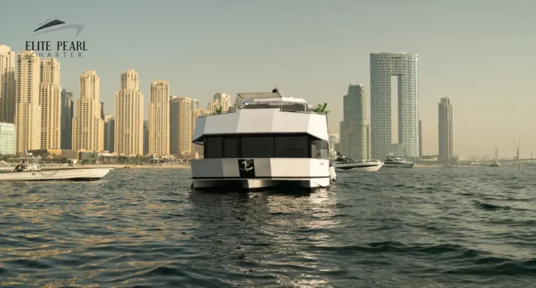 Modern Boat 100 FT | ELITE PEARL CHARTER View 6