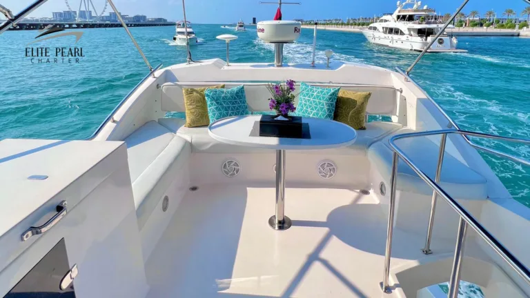 ELITE MAJESTY 44 FT | ELITE PEARL CHARTER View 5