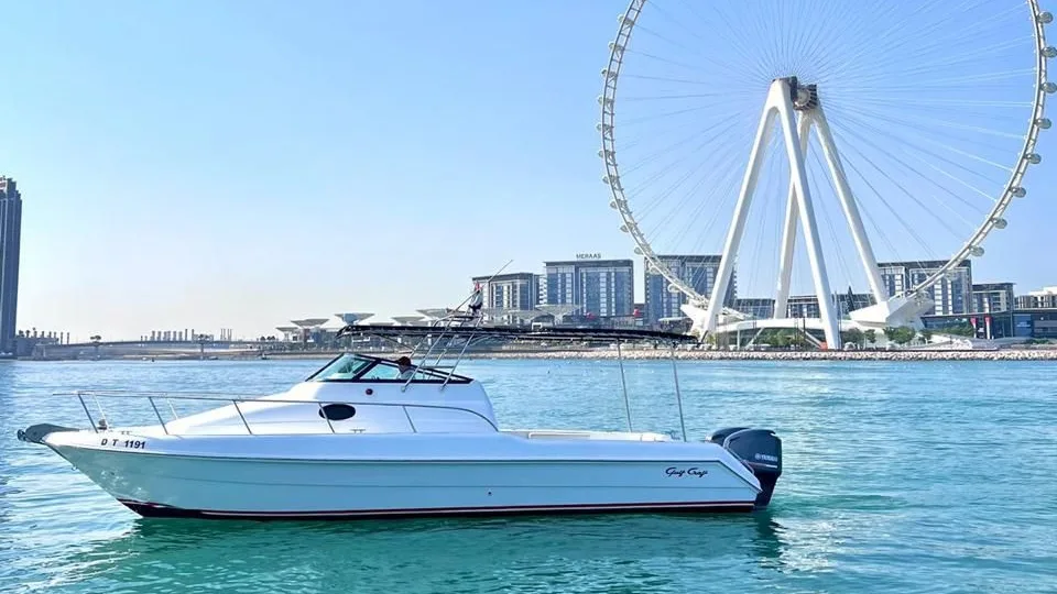 Elite 31 FT Fishing Boat, photo 4 of 5