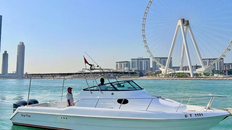 Elite 31 FT Fishing Boat, photo 5 of 5